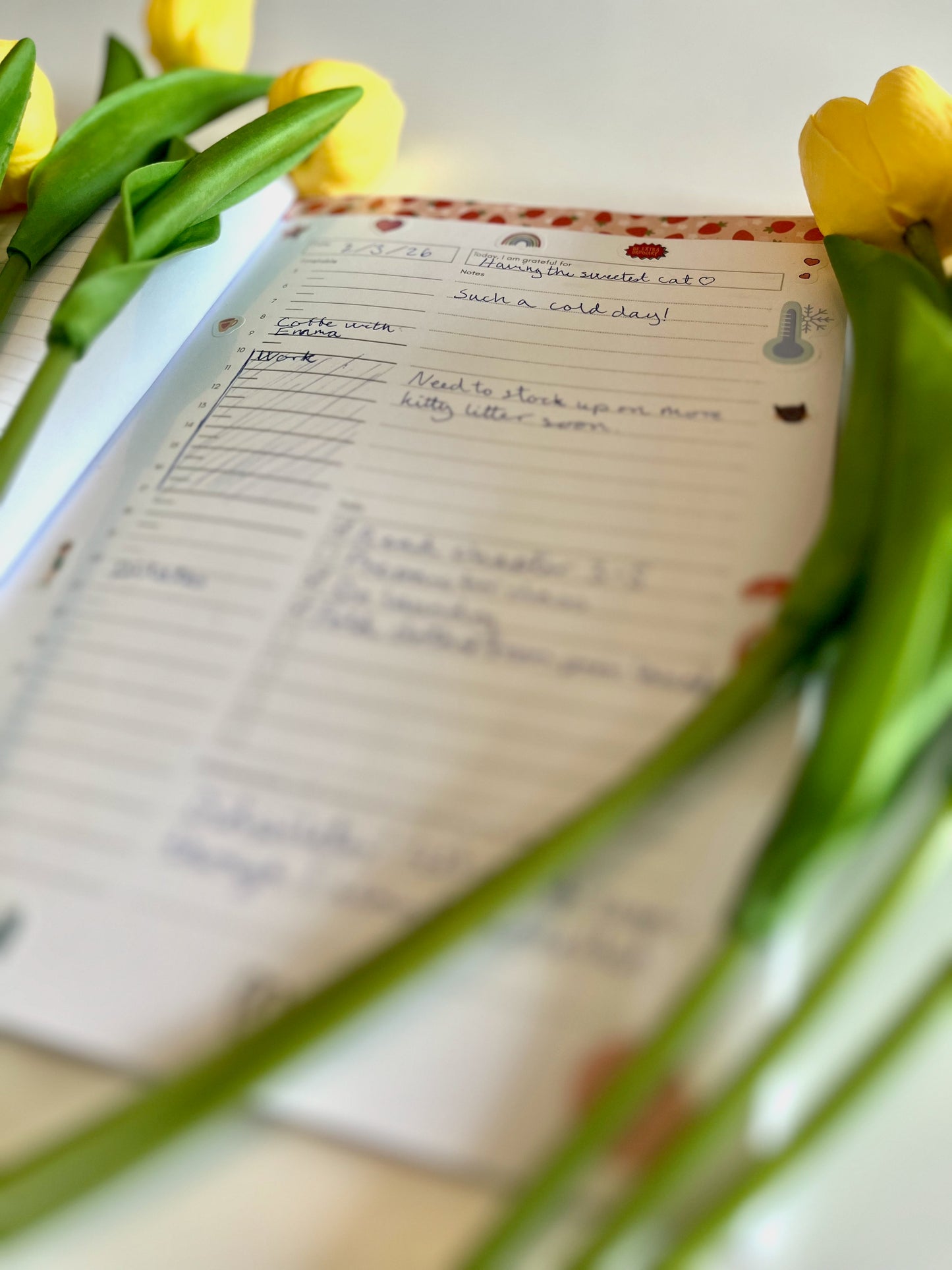 Neuro Bookshop's Daily Planner